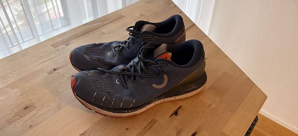 Scarpe da uomo: Laufschuhe Herren True Motion U-Tech Aion 46 – Usato da Untersiggenthal venduto da flexodietrich