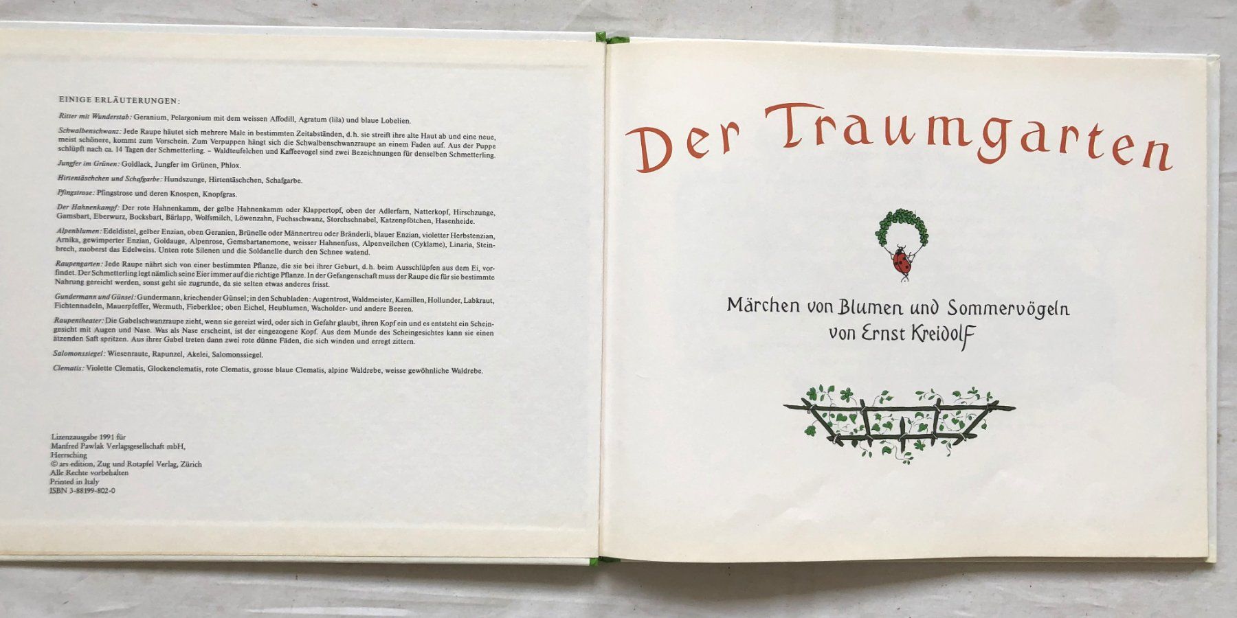 Libri: Der Traumgarten von Ernst Kreidolf - Kinderbuch – Usato da Schaffhausen venduto da durruti 1