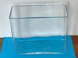 Rechteckige Glaswanne (pneumatische Wanne) 2.2L Inhalt