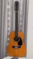 🎸 Hondo H160A 12-Saiter Akustikgitarre – komplett