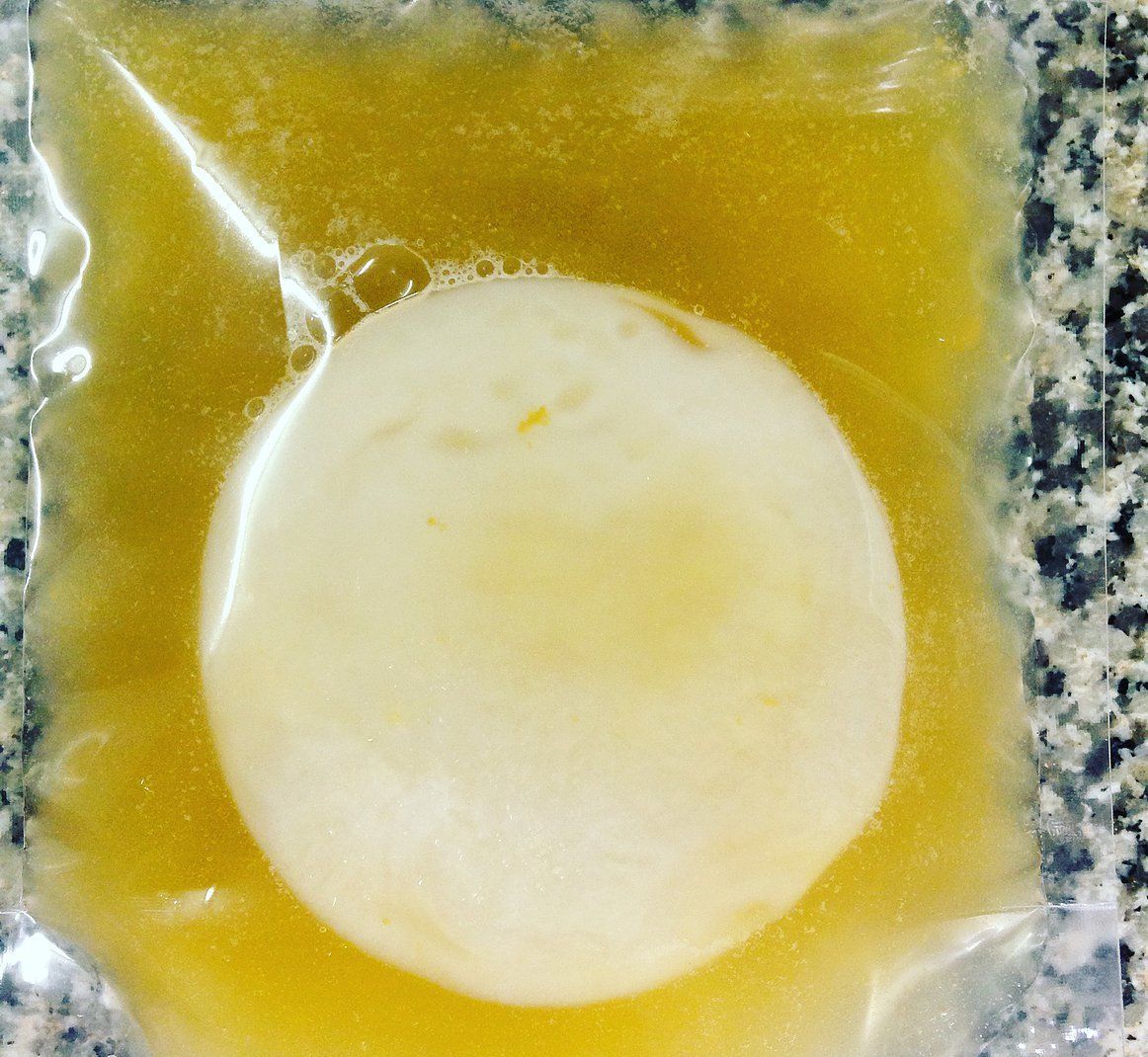 Cibi & Specialità: Milchkefir - Knollen BIO – Nuovo (secondo la descrizione) da Winterthur venduto da Aniger 6