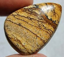 Cabochon L-7581 – Bilder Jaspis 25X18X5MM