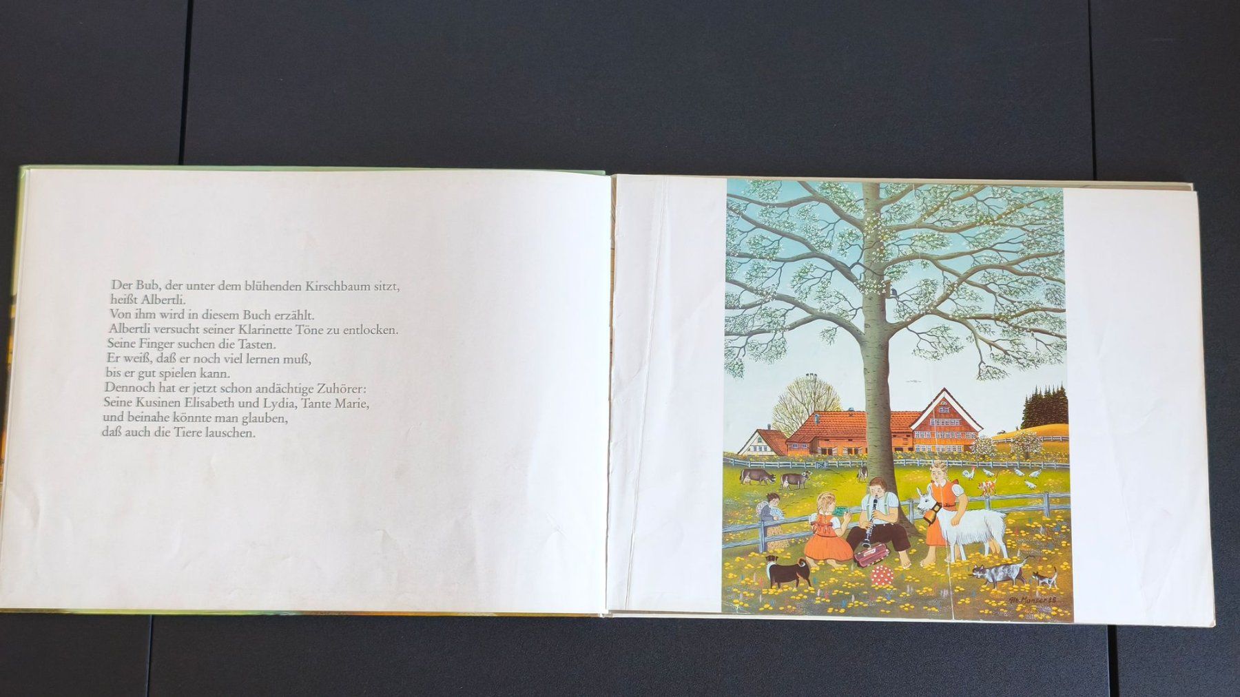 Libri: Bilderbuch: Albertli – Usato da Lenzburg venduto da Dani_Lenzburg 1