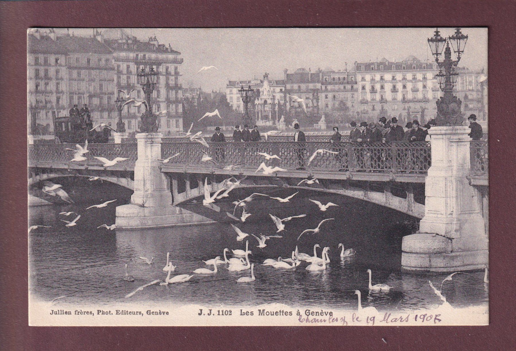 Cartoline postali: GENEVE - Les Mouettes - Attelage - 1907 – Usato da Pully venduto da nicecards