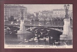 GENEVE - Les Mouettes - Attelage - 1907