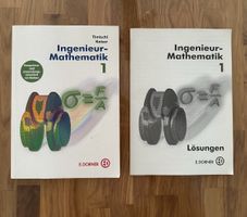 Ingenieur-Mathematik 1 und Lösungsbuch gute Kondition