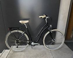 Ibex Citybike 