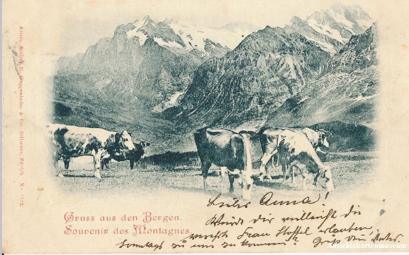 Ansichtskarten: Kuhweide - Gruss aus den Bergen + 1900 – Gebraucht aus Emmenbrücke von teestube