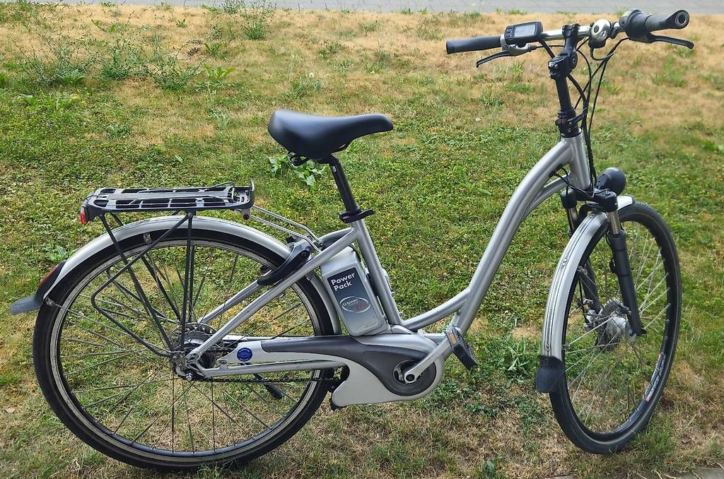 Flyer Velos: E-Bike Flyer C6 – Gebraucht aus Bern von dom_ph6c 2