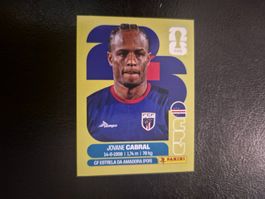 Panini WM 26 CPV 16