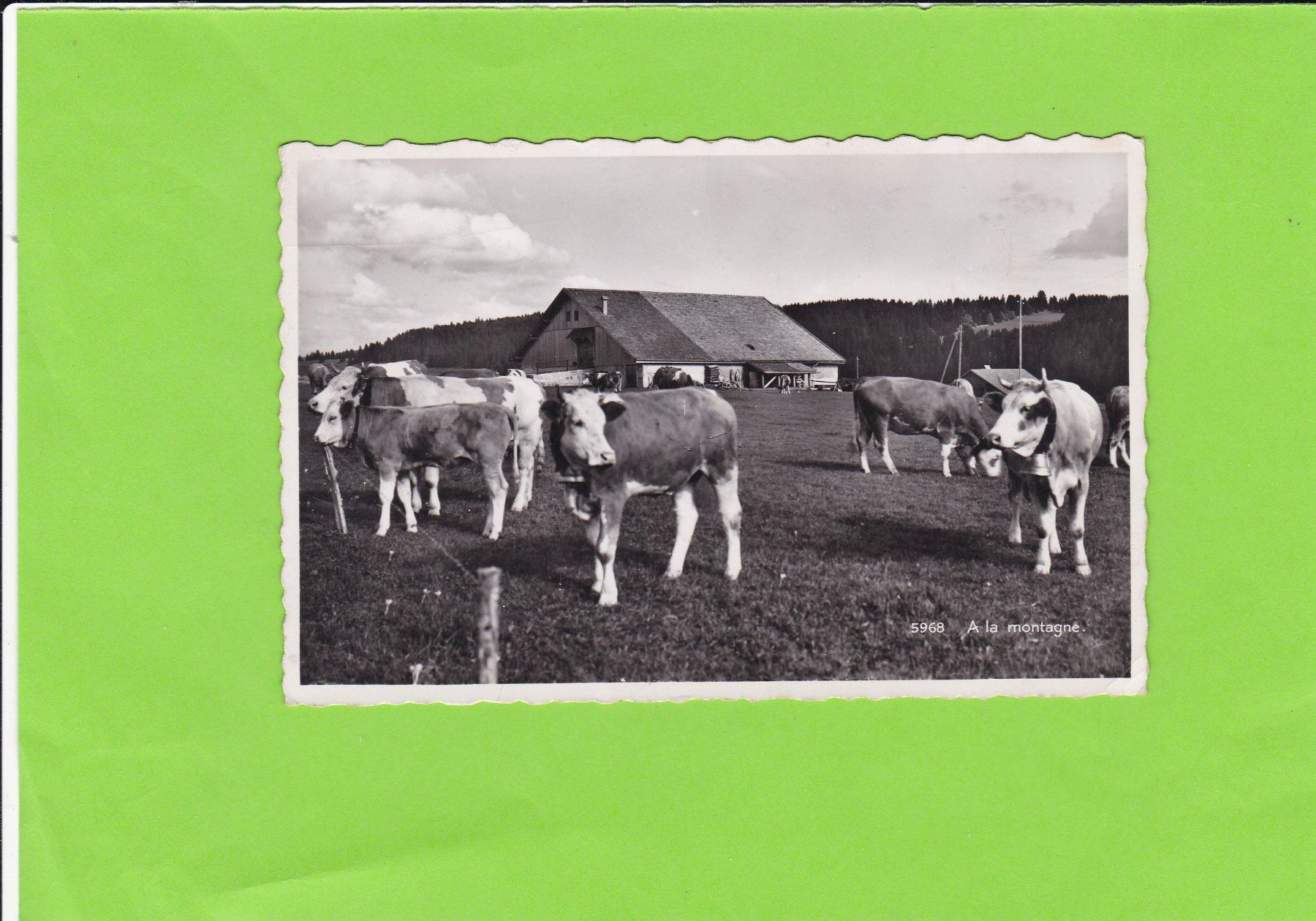 Cartoline postali: A la montagne – Usato da St. Peterzell venduto da neckertal