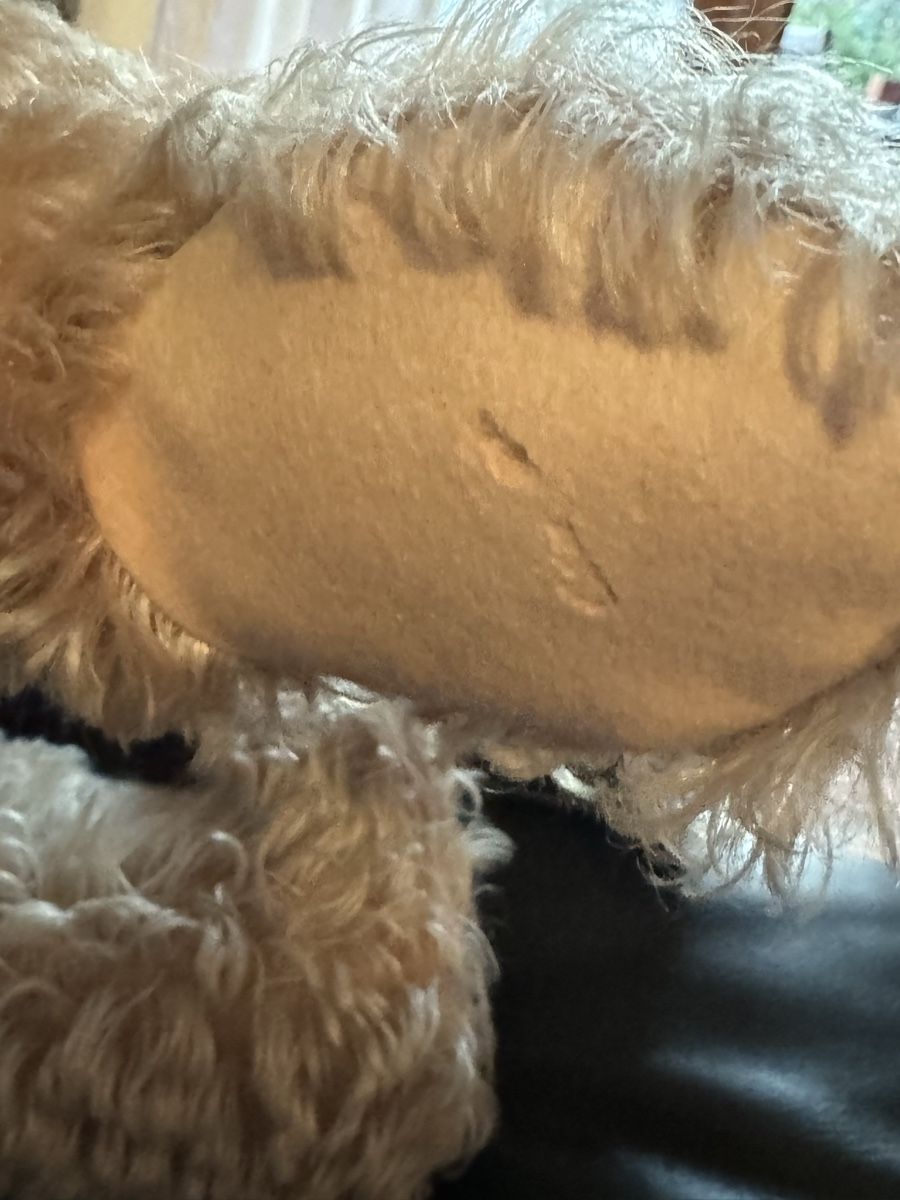 Steiff Giocattoli: Steiff Teddybär – Usato da Binningen venduto da kal_5nsj 5