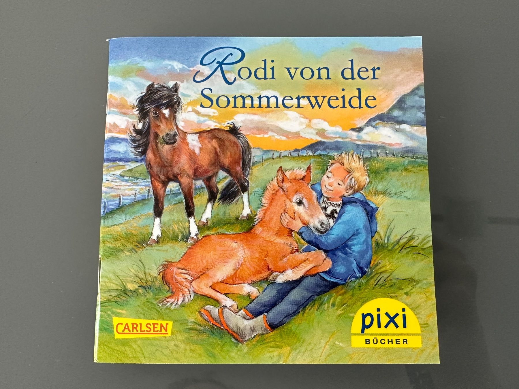 Libri: Pixi Buch - Rodi von der Sommerweide / Pferde – Nuovo (secondo la descrizione) da Zollikon venduto da Krenapf