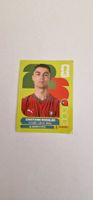 Panini Sticker Cristiano Ronaldo