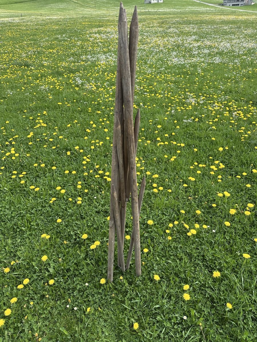 Altro in Utensili da giardino: Heinze – Usato da Schwende venduto da weesli 5