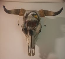 Kuhschädel mit Airbrush