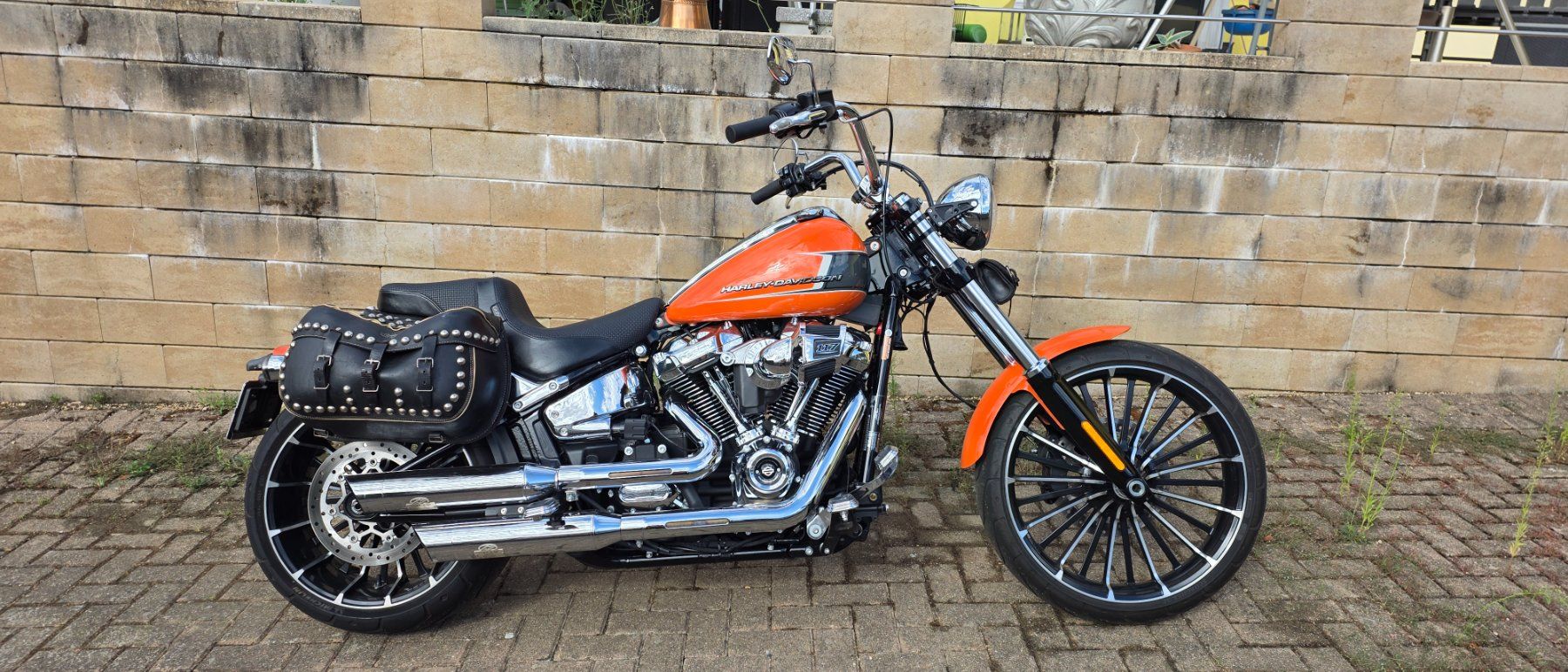 Harley-Davidson Cruisers: Harley-Davidson FXBR 117 Breakout – D'occasion à Seewen SO par DealornoDeal 4