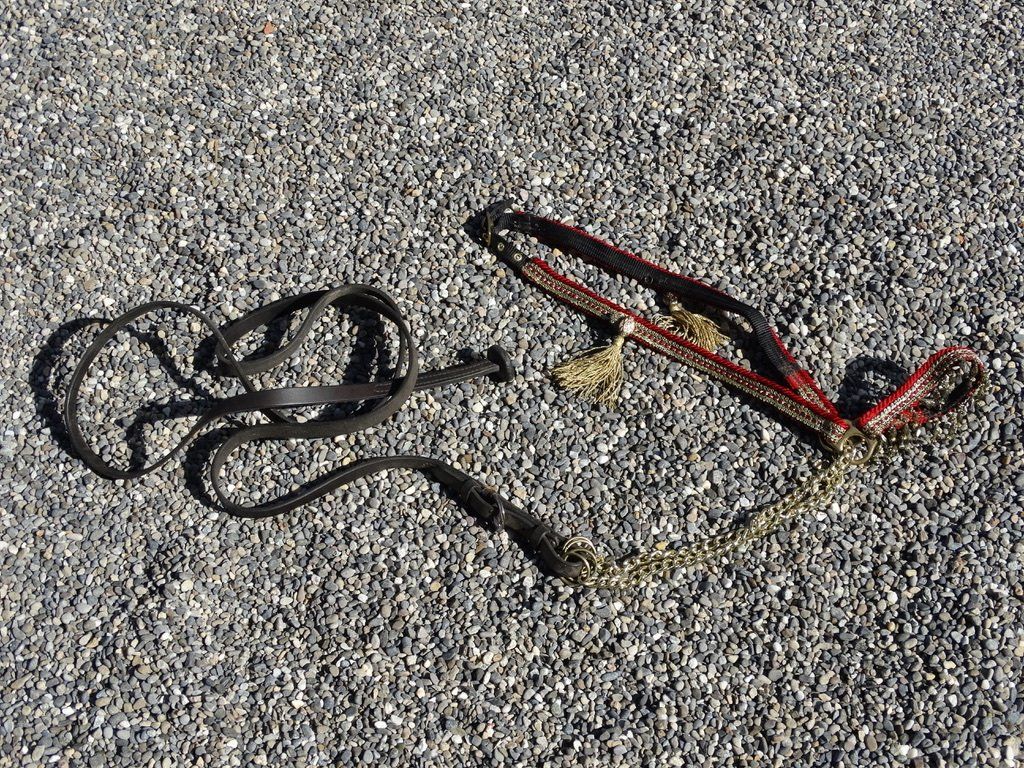 Briglie & Cavezze: wunderschönes Araber ShowHalfter verziertem Leder mit Seil – Usato da Grossaffoltern venduto da mulani 8