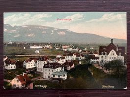 HEERBRUGG Ortsansicht mit Schulhaus & Volkshaus, 1927