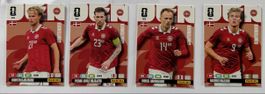 Panini Fifa Worldcup 2026 Team Dänemark (unvollständig)