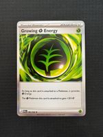 Pokémon Growing Energy 086/088