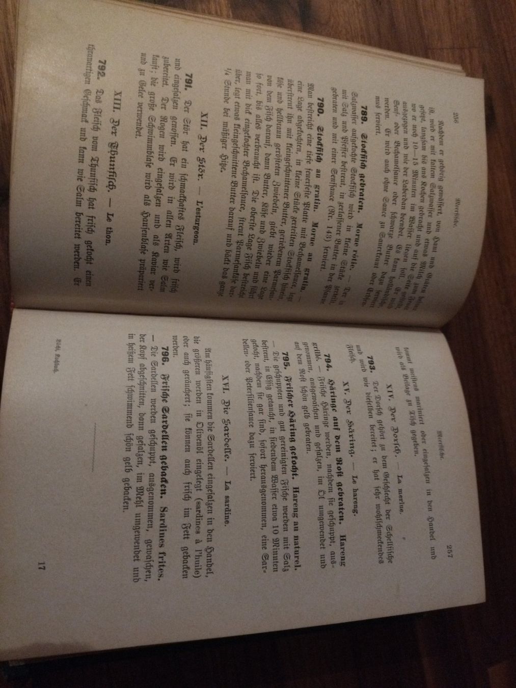 Libri: Kochbuch antik 1896 – Usato da Felben-Wellhausen venduto da bananajoe8474 5