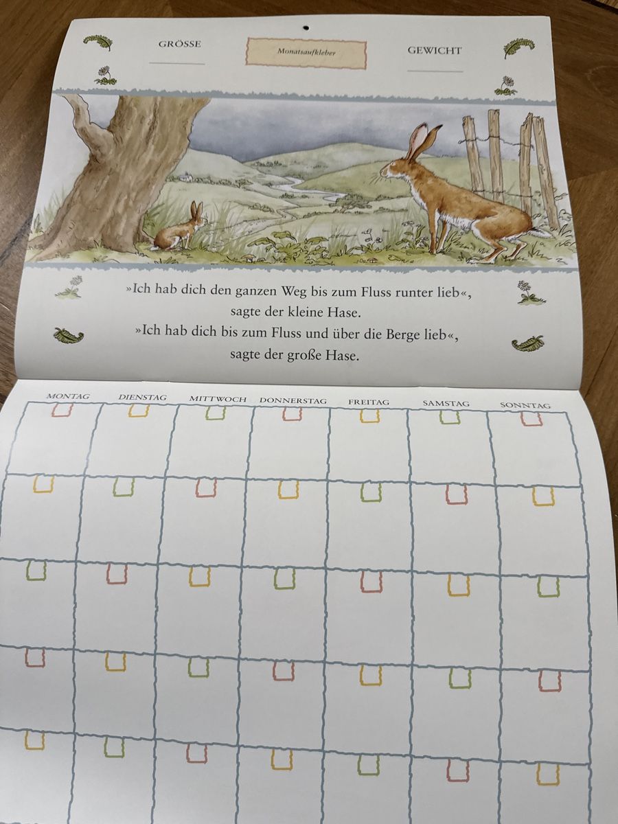 Calendari: Baby Tagebuch, Baby Kalender – Nuovo (secondo la descrizione) da Frauenfeld venduto da Mirabai 6