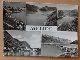 Melide -TI -1951