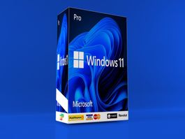 Microsoft Windows 11 Pro l 1 PC l Multilingual