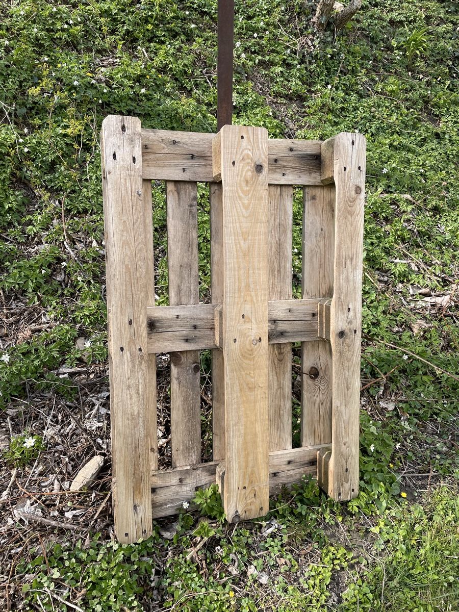 Pallets: Europalette – Usato da Wängi venduto da Thurgauer98 2