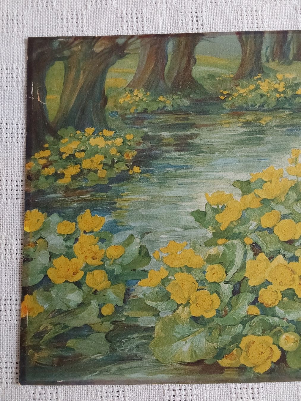 Foto & Immagini: Anna Haller Grafik 21x30cm. – Usato da Steinach venduto da Chilli1957 1