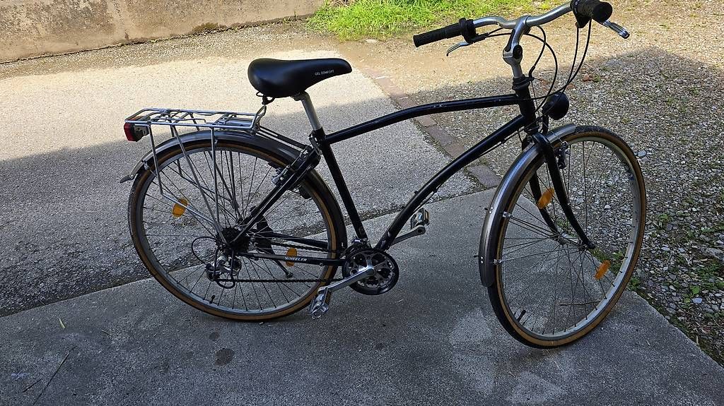 Wheeler Biciclette: Tourenfahrrad Wheeler – Usato da Monteggio venduto da trasfermikel 4