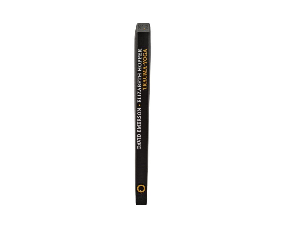 Libri: G.P. PROBST Buch Trauma-Yoga – Usato da Wil SG venduto da Restwert_Wil 3