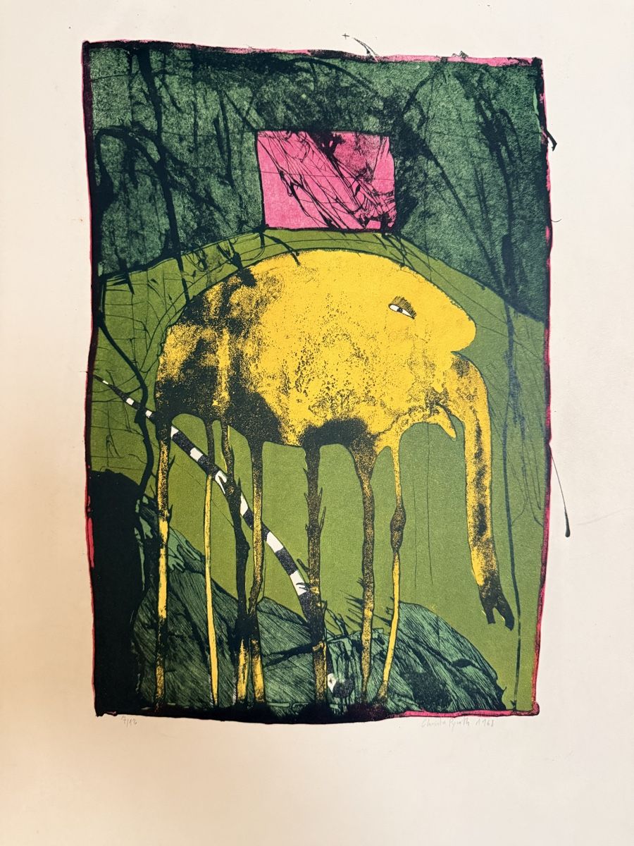 Grafica & Litografie: Christa Pyroth 1968 - Lithographie – Usato da Solothurn venduto da NUVICO 1