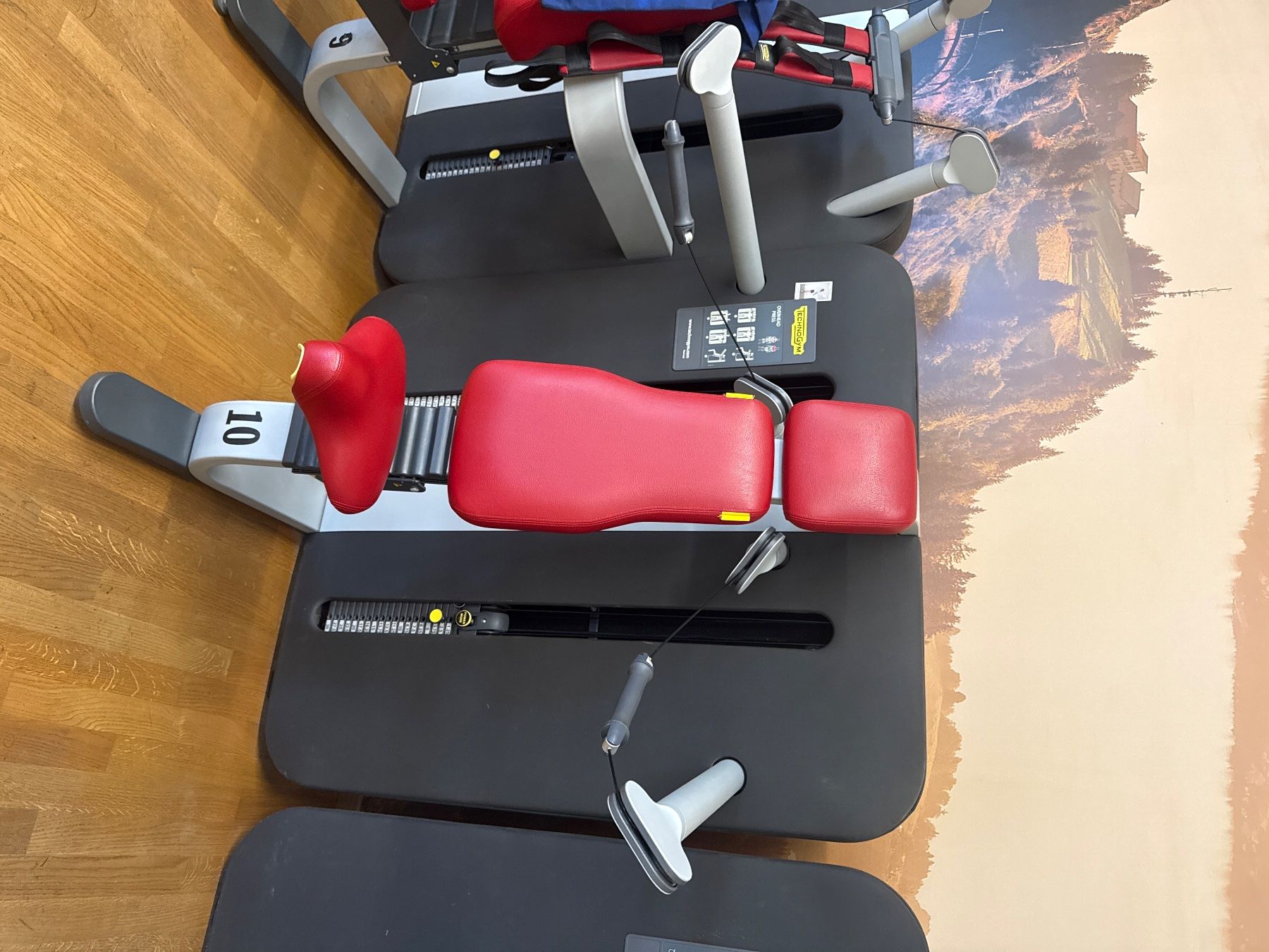 Technogym Vélos d'appartement: Technogym Overhead Press - Schulterpresse - 300VB – D'occasion à Mettmenstetten par Nils_Gut_GZG 1