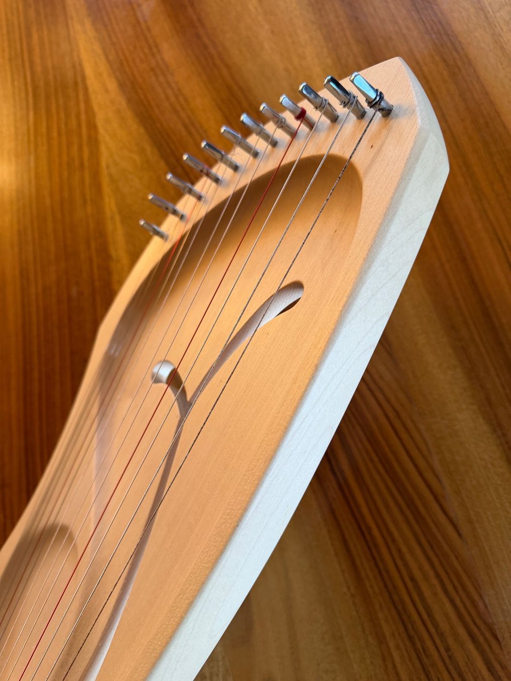 Strumenti musicali: Auris Leier 12 Seiten – Nuovo (secondo la descrizione) da Tägerwilen venduto da tobler08 1