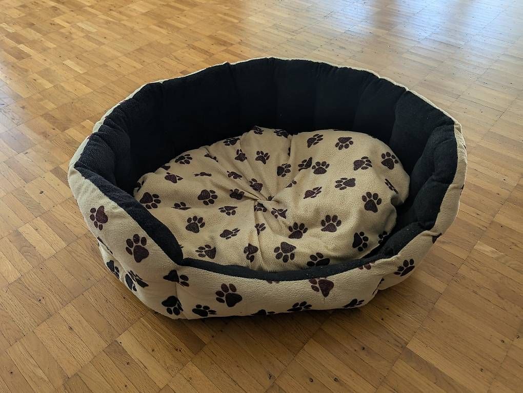 Cucce & Letti: Hundebett – Usato da Kreuzlingen venduto da misfit777