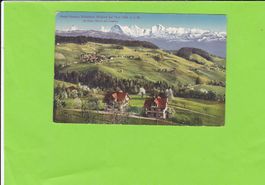 Hotel Pension Blümlisalp Goldiwil bei Thun