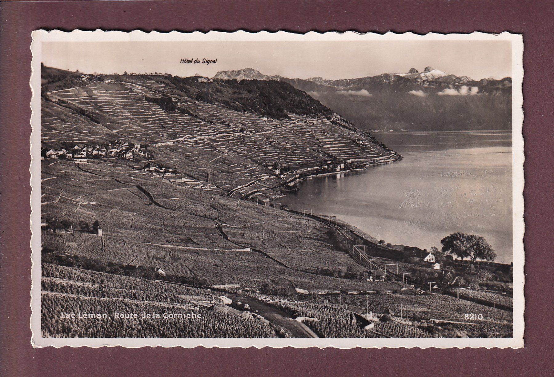 Cartoline postali: LAC LEMAN - Route de la Corniche - 1947 – Usato da Pully venduto da nicecards