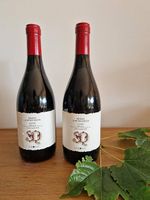 Vinosia Sesto a Quinconce Irpinia Aglianico 2006