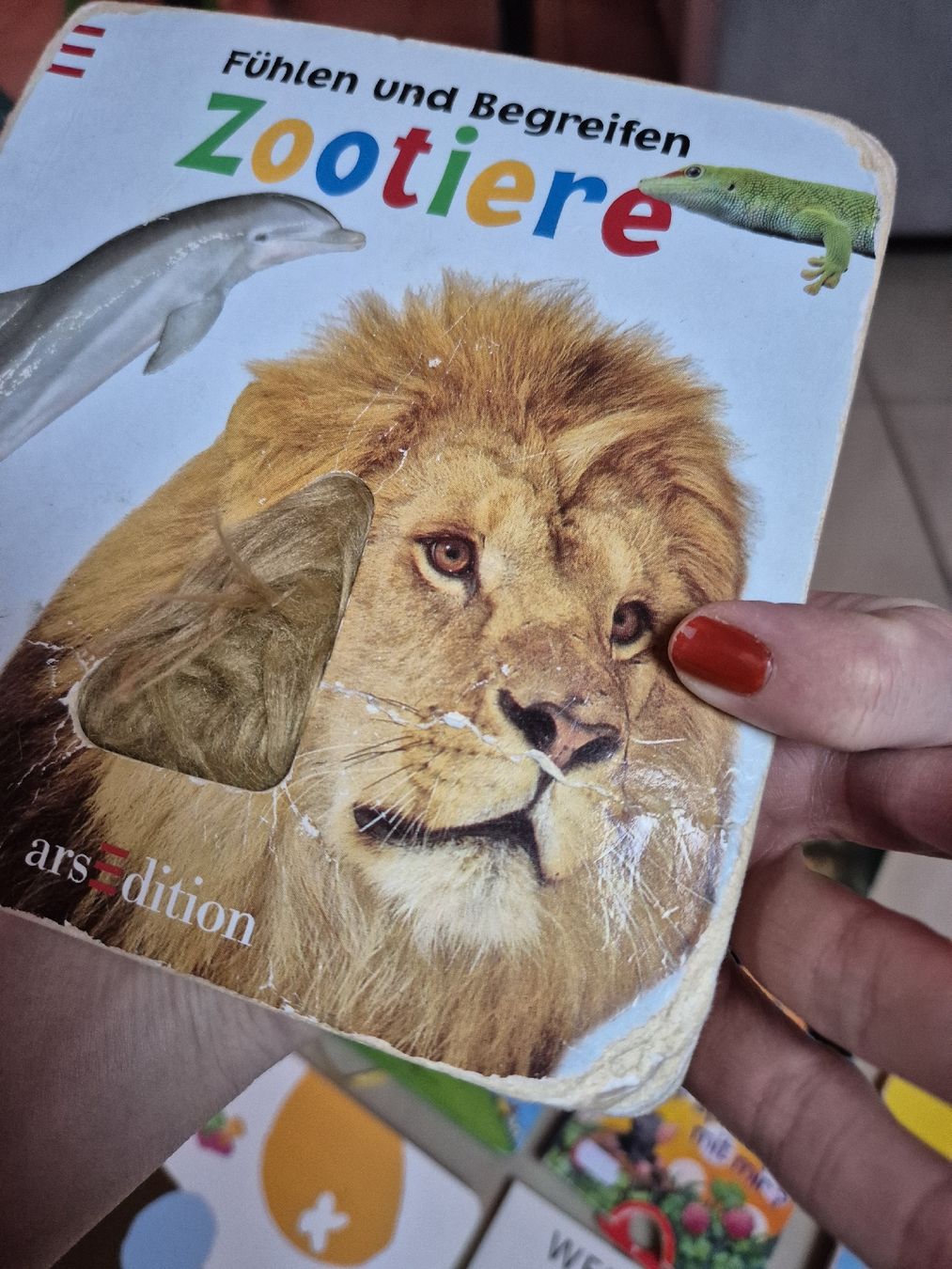 Bücher: Bücherpaket 1 Jährige – Gebraucht aus Seeberg von Zauberfee95 2