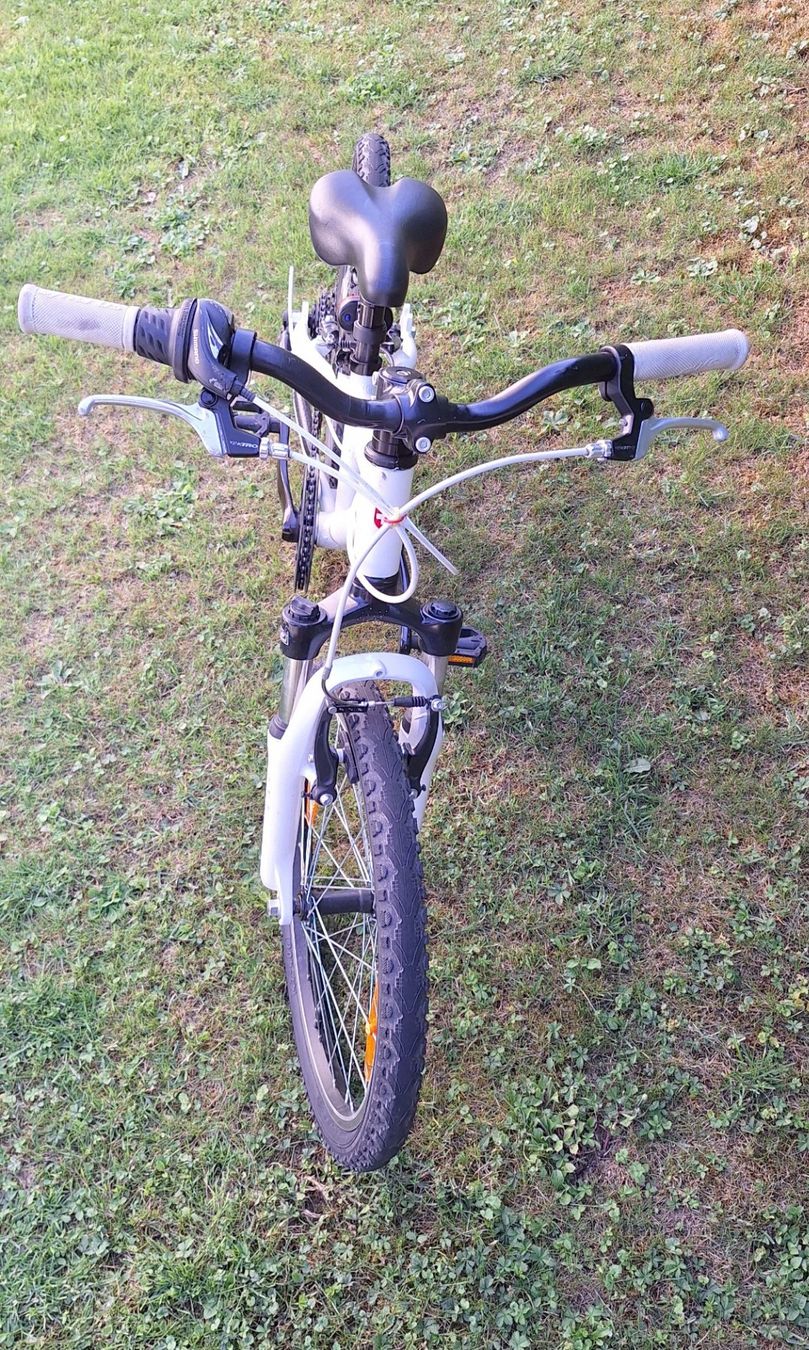 Biciclette: Mountainbike 20" – Usato da Schönenberg TG venduto da W8570 1