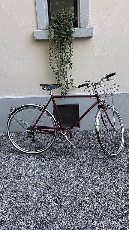 Velos: Siech Velo – Gebraucht aus Zürich von Ilmarin