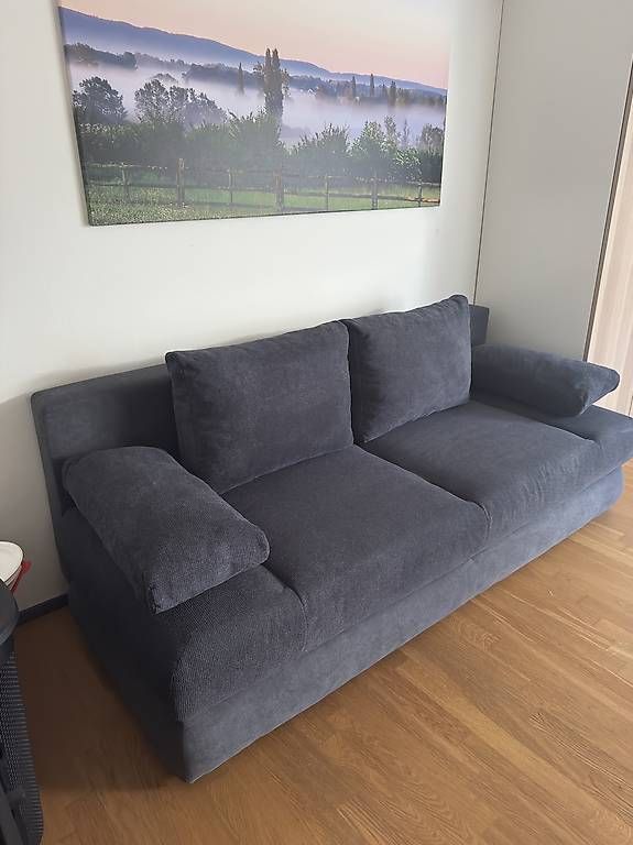 Divani: Bettsofa neuwertig – Nuovo (secondo la descrizione) da Aarau Rohr venduto da Kpapillon