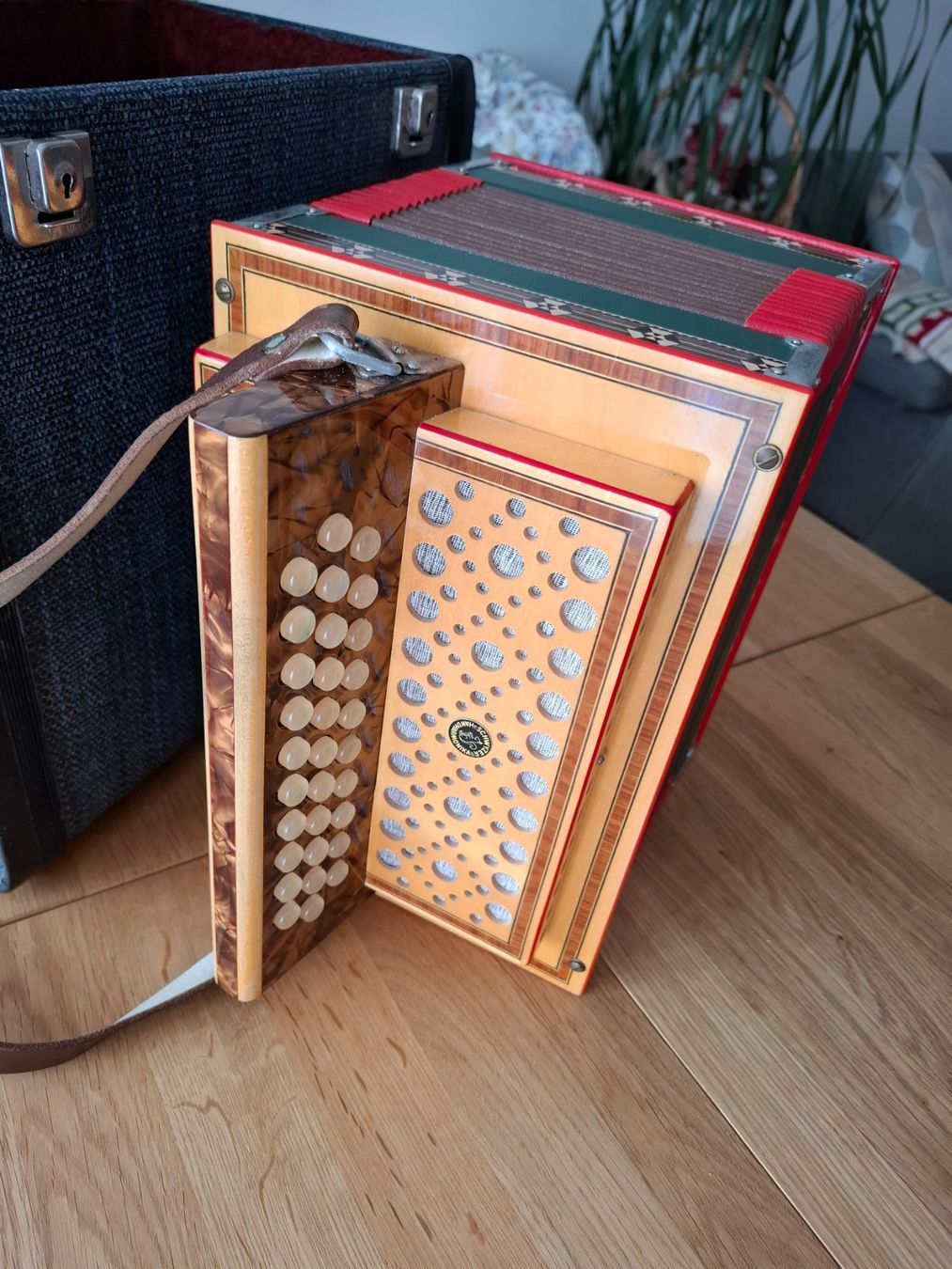 Eichhorn Strumenti musicali: Eichhorn, 18-bässiges Schwyzerörgeli – Usato da Baar venduto da Blume113 2