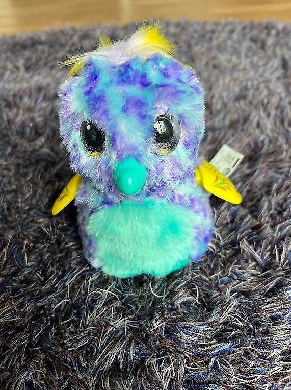Hatchimals Giocattoli: Hatchimals Alive (2 Stück) - Neu – Nuovo (secondo la descrizione) da Oberrohrdorf venduto da Augustus5 4