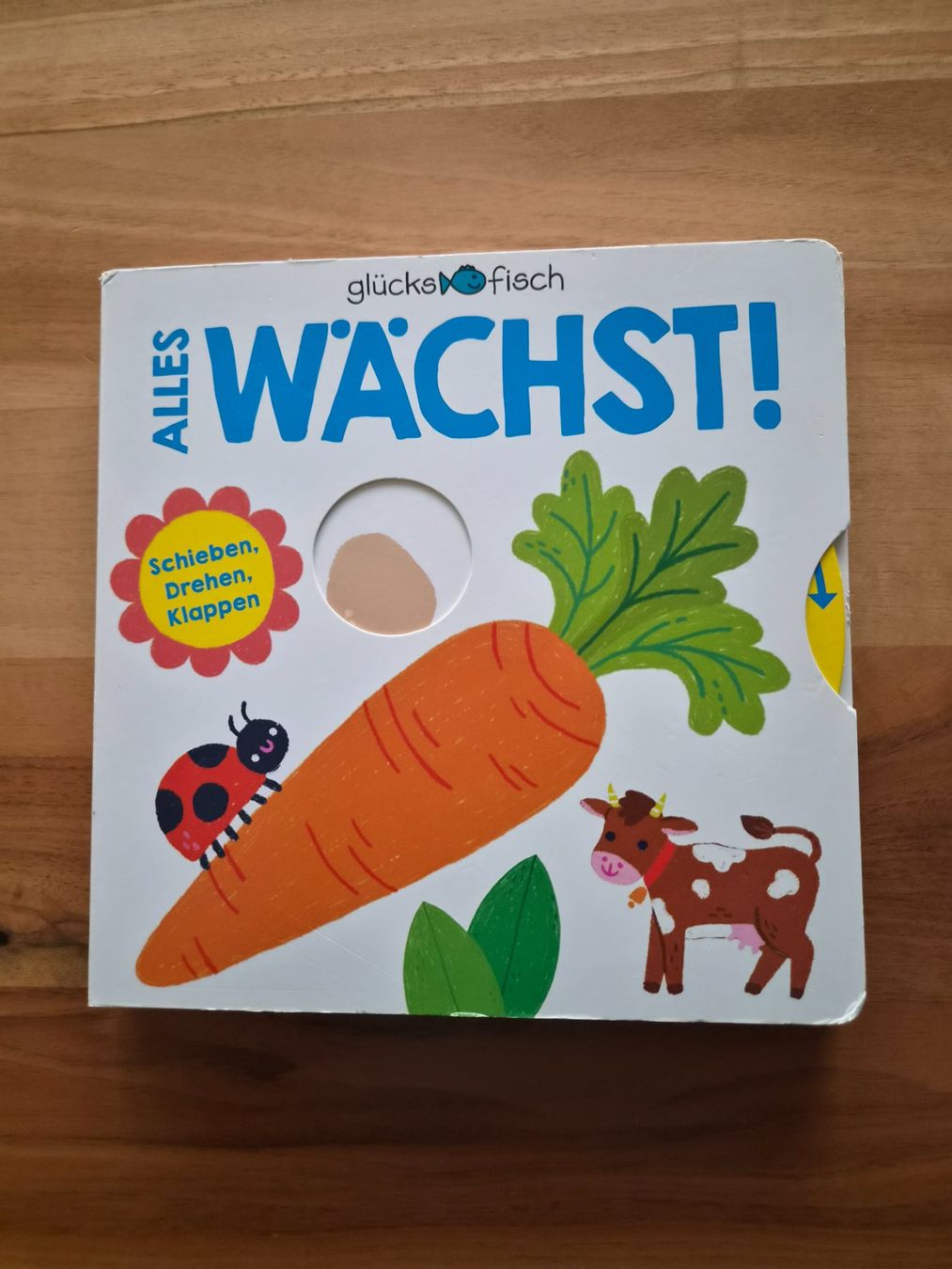 Libri: Spielbuch Alles Wächst! ab 2 Jahren – Usato da Ibach venduto da urs_sl5h
