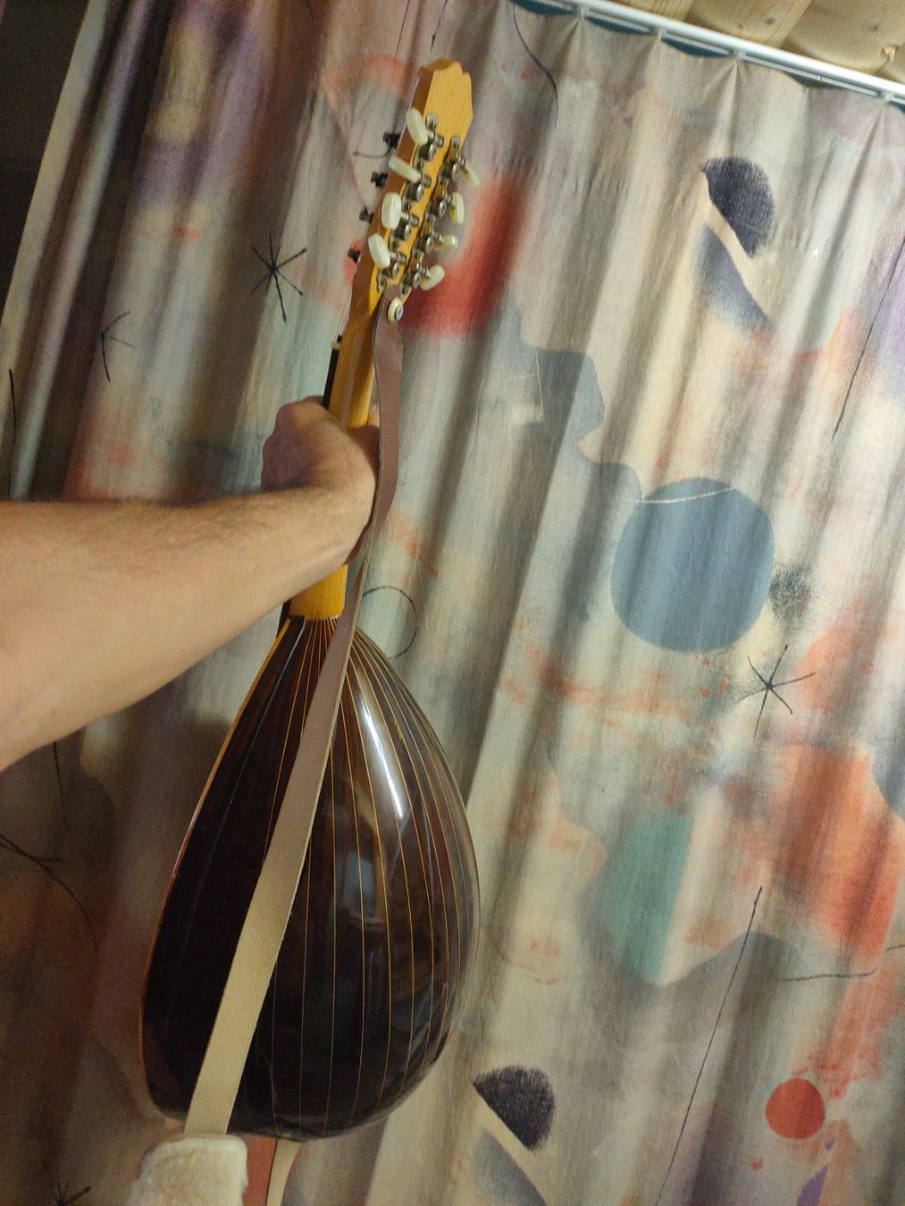 Strumenti musicali: Seiten Instrument ,  bauch – Usato da Beringen venduto da ptt_c5nt 1