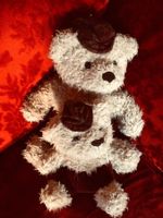 Plüschteddys