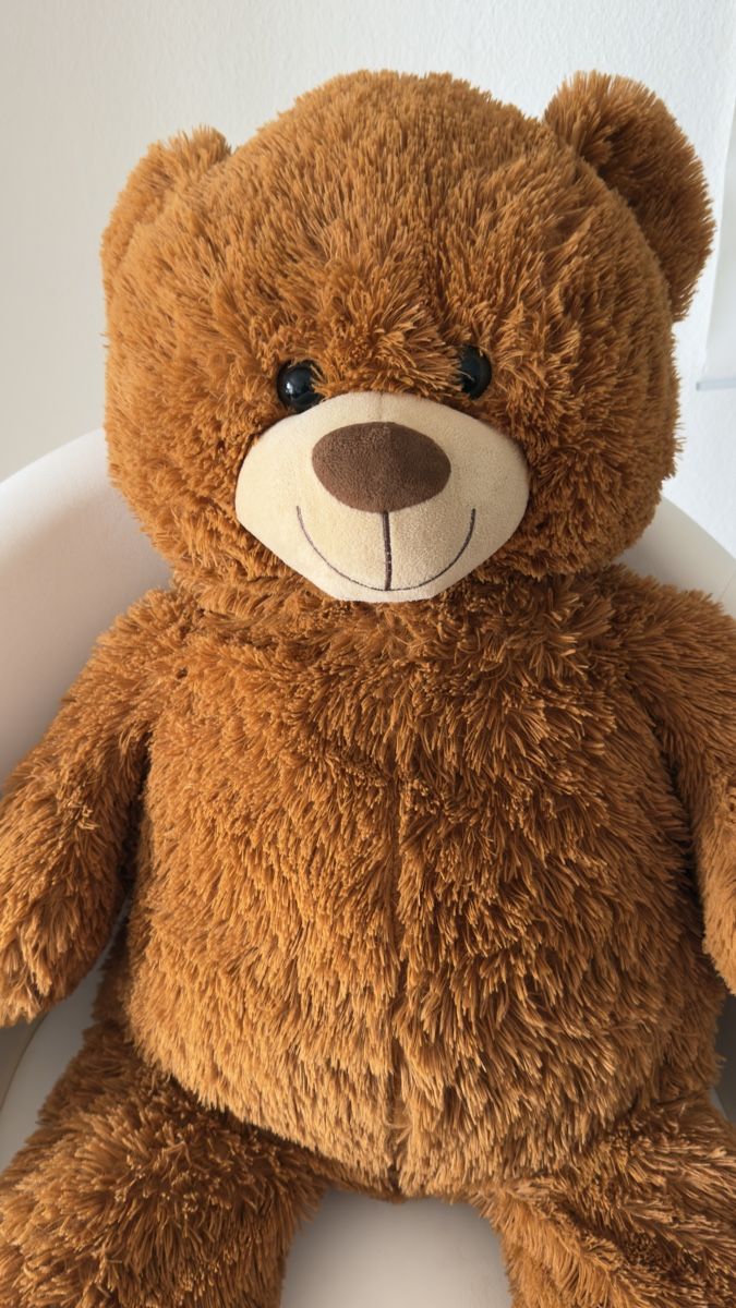 Jouets: Teddy Bear Plush Toy Brown Used Condition – D'occasion à Zürich par ish_6v8w 1